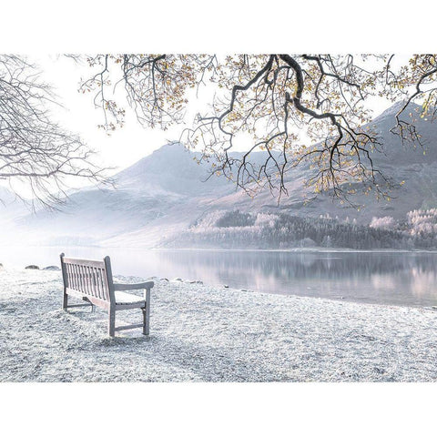 Bench by still lake White Modern Wood Framed Art Print by Frank, Assaf