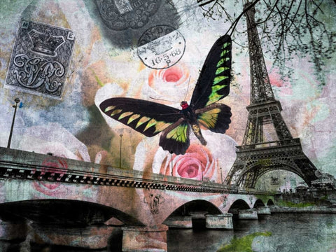 Eiffel tower with butterfly and roses overlay Black Ornate Wood Framed Art Print with Double Matting by Frank, Assaf