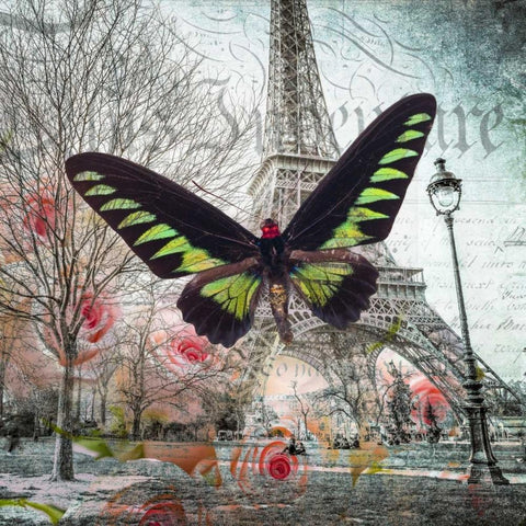 Eiffel tower with butterfly and roses overlay Black Modern Wood Framed Art Print with Double Matting by Frank, Assaf