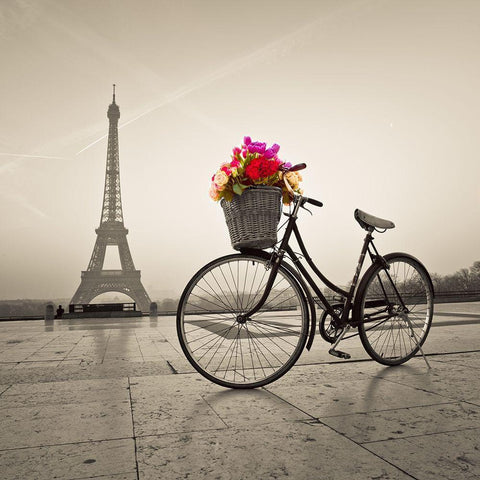 Bicycle with a basket of flowers next to the Eiffel tower Black Modern Wood Framed Art Print by Frank, Assaf