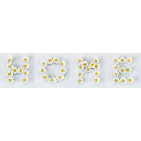 The word Home written in white Roses, FTBR-1915 White Modern Wood Framed Art Print by Frank, Assaf