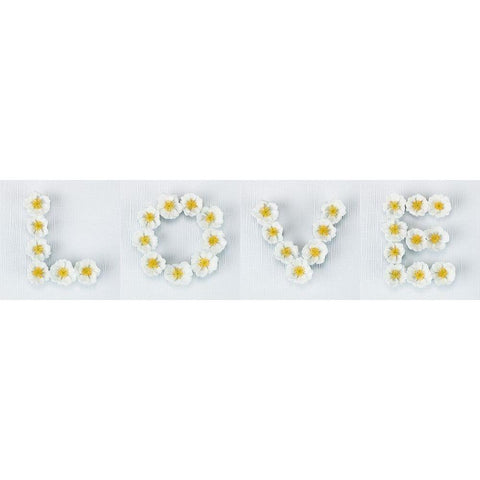Word Love written in white Roses, FTBR-1916 Gold Ornate Wood Framed Art Print with Double Matting by Frank, Assaf