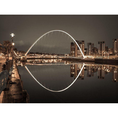 Gateshead Millenium Bridge, Newcastle Upon Tyne, FTBR-1877 Gold Ornate Wood Framed Art Print with Double Matting by Frank, Assaf