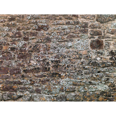 Old wall Black Modern Wood Framed Art Print by Frank, Assaf