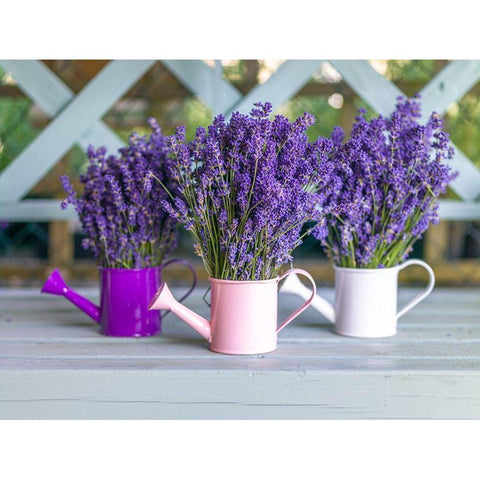 Watering cans with Lavender flowers White Modern Wood Framed Art Print by Frank, Assaf