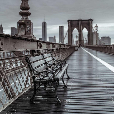 Empty bench on the pedestrian walkway of the Brooklyn Bridge, New York Gold Ornate Wood Framed Art Print with Double Matting by Frank, Assaf