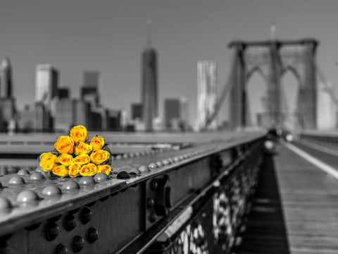 Bunch of roses on Brooklyn Bridge, New York Black Ornate Wood Framed Art Print with Double Matting by Frank, Assaf