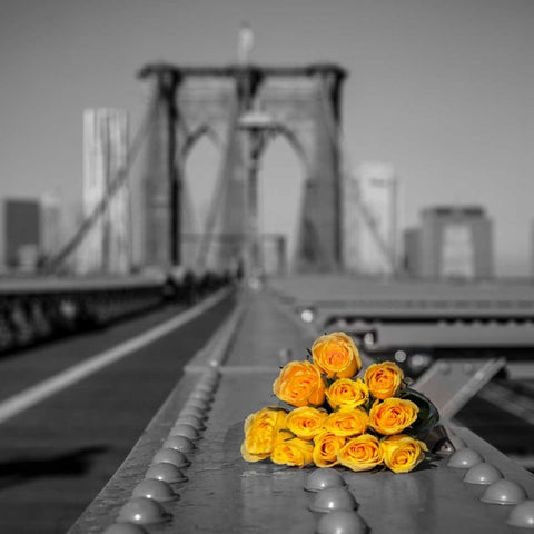 Bunch of roses on Brooklyn Bridge, New York Black Ornate Wood Framed Art Print with Double Matting by Frank, Assaf