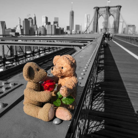 Pair of teddy bears with a red rose on Brooklyn Bridge, New York White Modern Wood Framed Art Print with Double Matting by Frank, Assaf