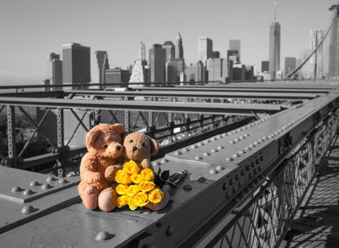 Pair of teddy bears and bunch of roses on Brooklyn Bridge, New York White Modern Wood Framed Art Print with Double Matting by Frank, Assaf