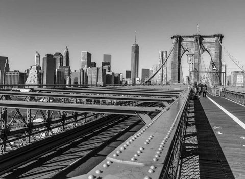 View from Brooklyn bridge with New York skyline in background Black Ornate Wood Framed Art Print with Double Matting by Frank, Assaf