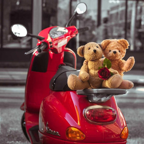 Teddy bears with red rose on a scooter, New York Black Modern Wood Framed Art Print with Double Matting by Frank, Assaf
