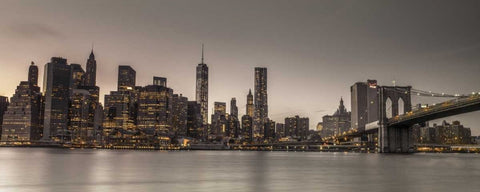 Evening shot of Lower Manhattan skyline, New York Black Ornate Wood Framed Art Print with Double Matting by Frank, Assaf