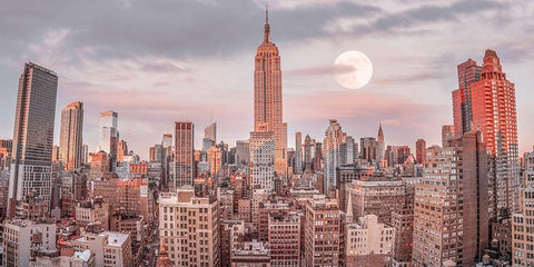 Empire State Building with Manhattan skyline - New York City Black Ornate Wood Framed Art Print with Double Matting by Frank, Assaf
