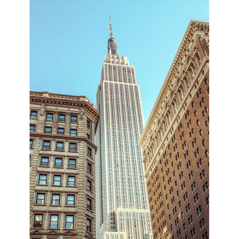 Low angle shot of a Empire State building - New York Gold Ornate Wood Framed Art Print with Double Matting by Frank, Assaf