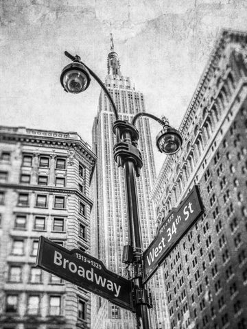 Street lamp and street signs with Empire State building in background - New York White Modern Wood Framed Art Print with Double Matting by Frank, Assaf