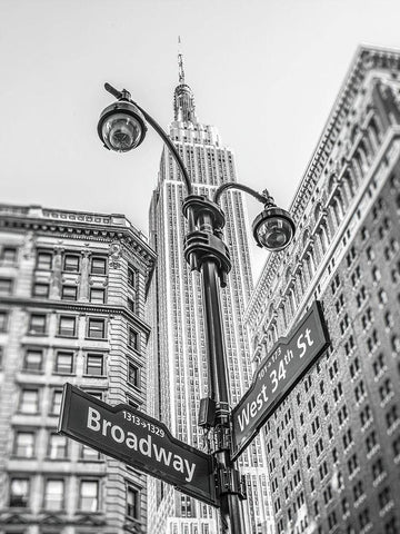 Street lamp and street signs with Empire State building in background - New York Black Ornate Wood Framed Art Print with Double Matting by Frank, Assaf