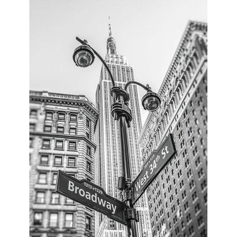 Street lamp and street signs with Empire State building in background - New York Black Modern Wood Framed Art Print with Double Matting by Frank, Assaf