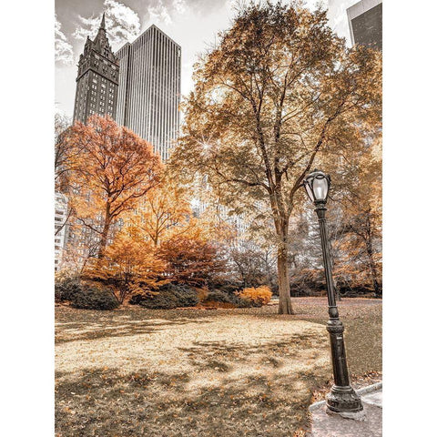 Central park in autumn-Manhattan-New York Black Modern Wood Framed Art Print with Double Matting by Frank, Assaf