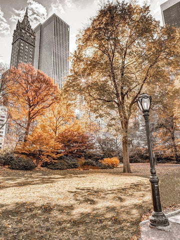 Central park in autumn-Manhattan-New York White Modern Wood Framed Art Print with Double Matting by Frank, Assaf