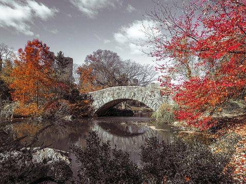 Gapstow bridge in the Autumn, Central park, New York White Modern Wood Framed Art Print with Double Matting by Frank, Assaf