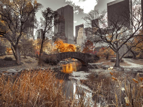 Gapstow Bridge in autumn, Central Park, New York city, FTBR-1801 Black Ornate Wood Framed Art Print with Double Matting by Frank, Assaf