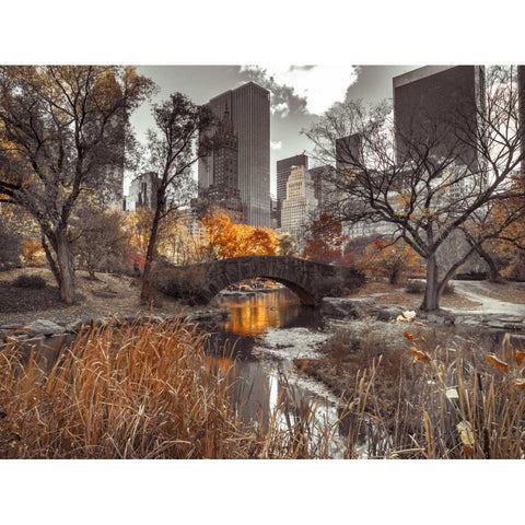 Gapstow Bridge in autumn, Central Park, New York city, FTBR-1801 Black Modern Wood Framed Art Print with Double Matting by Frank, Assaf