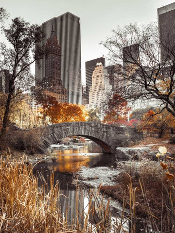 Gapstow bridge in autumn, Central Park, New York city, FTBR-1802 White Modern Wood Framed Art Print with Double Matting by Frank, Assaf