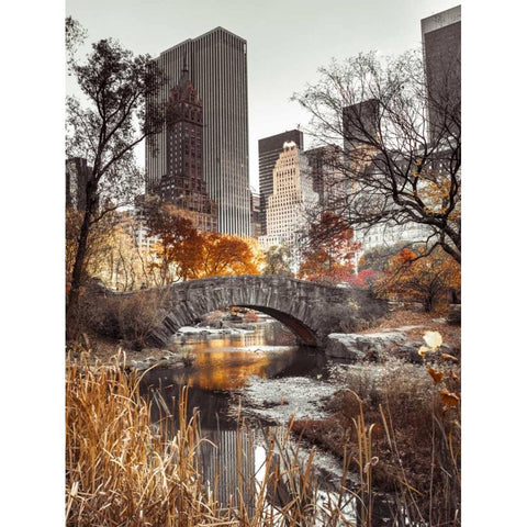 Gapstow bridge in autumn, Central Park, New York city, FTBR-1802 Gold Ornate Wood Framed Art Print with Double Matting by Frank, Assaf