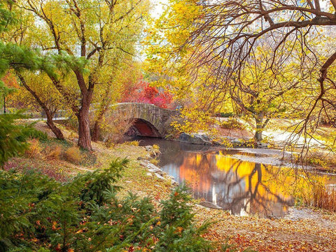 Gapstow bridge in autumn-Central Park-New York city Black Ornate Wood Framed Art Print with Double Matting by Frank, Assaf