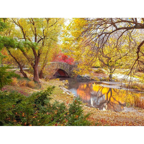 Gapstow bridge in autumn-Central Park-New York city Black Modern Wood Framed Art Print with Double Matting by Frank, Assaf