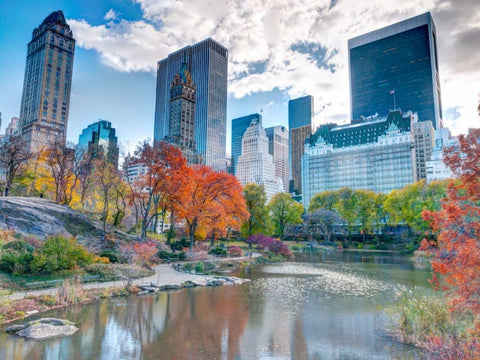 Pond at Central Park with Manhattan skyline, New York White Modern Wood Framed Art Print with Double Matting by Frank, Assaf