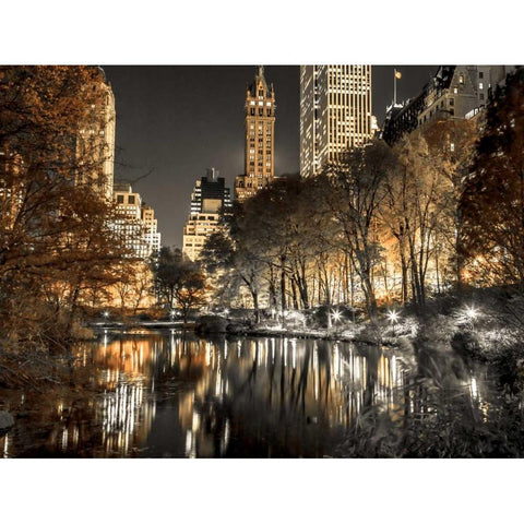 Evening view of Central Park in New York City, FTBR-1803 Black Modern Wood Framed Art Print with Double Matting by Frank, Assaf