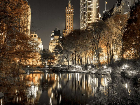 Evening view of Central Park in New York City, FTBR-1803 Black Ornate Wood Framed Art Print with Double Matting by Frank, Assaf