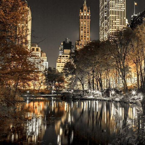 Evening view of Central Park in New York City Gold Ornate Wood Framed Art Print with Double Matting by Frank, Assaf