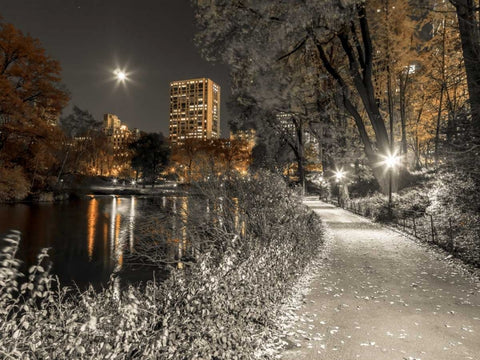 Evening view of Central Park in New York City White Modern Wood Framed Art Print with Double Matting by Frank, Assaf