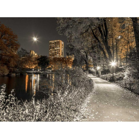 Evening view of Central Park in New York City Black Modern Wood Framed Art Print with Double Matting by Frank, Assaf