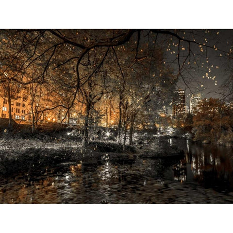 Evening view of Central Park in New York City Black Modern Wood Framed Art Print with Double Matting by Frank, Assaf