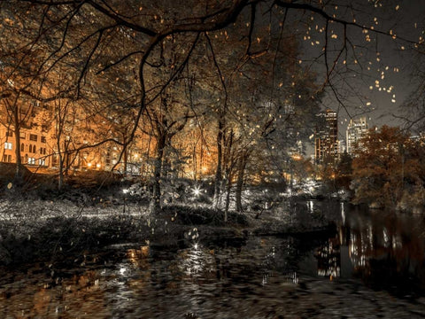 Evening view of Central Park in New York City White Modern Wood Framed Art Print with Double Matting by Frank, Assaf