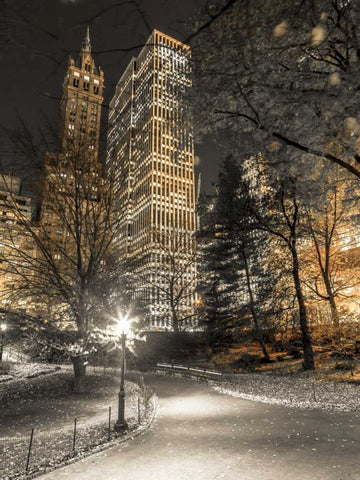 Evening view of Central Park in New York City Black Ornate Wood Framed Art Print with Double Matting by Frank, Assaf