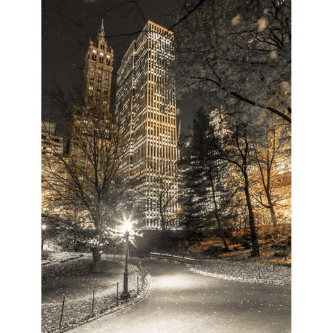 Evening view of Central Park in New York City Black Modern Wood Framed Art Print by Frank, Assaf