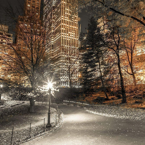 Evening view of Central Park in New York City Black Modern Wood Framed Art Print by Frank, Assaf