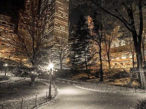 Evening view of Central Park in New York City White Modern Wood Framed Art Print with Double Matting by Frank, Assaf