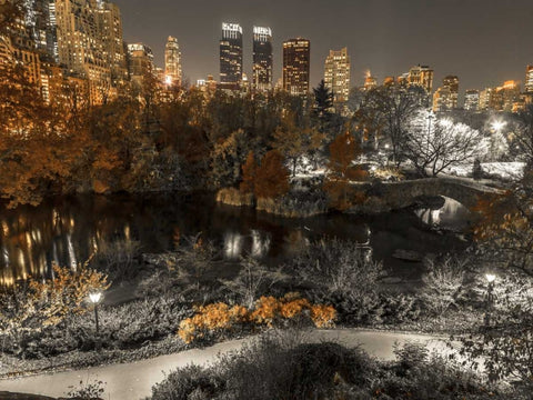 Evening view of Central Park in New York City White Modern Wood Framed Art Print with Double Matting by Frank, Assaf
