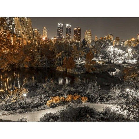 Evening view of Central Park in New York City Black Modern Wood Framed Art Print with Double Matting by Frank, Assaf