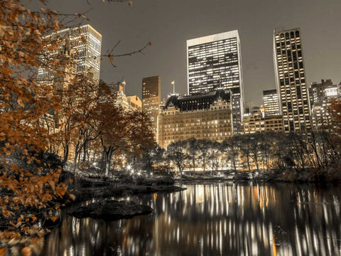 Evening view of Central Park in New York City White Modern Wood Framed Art Print with Double Matting by Frank, Assaf