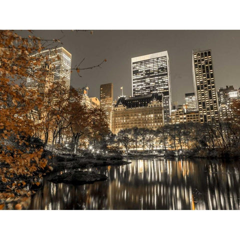Evening view of Central Park in New York City Black Modern Wood Framed Art Print by Frank, Assaf