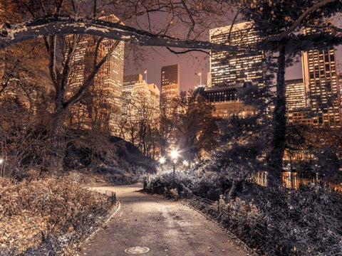 Evening view of Central Park in New York City White Modern Wood Framed Art Print with Double Matting by Frank, Assaf