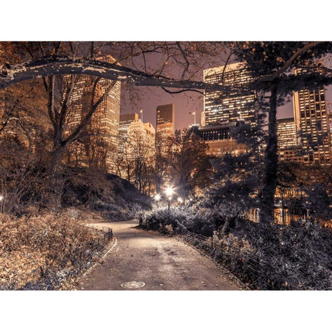 Evening view of Central Park in New York City Black Modern Wood Framed Art Print by Frank, Assaf
