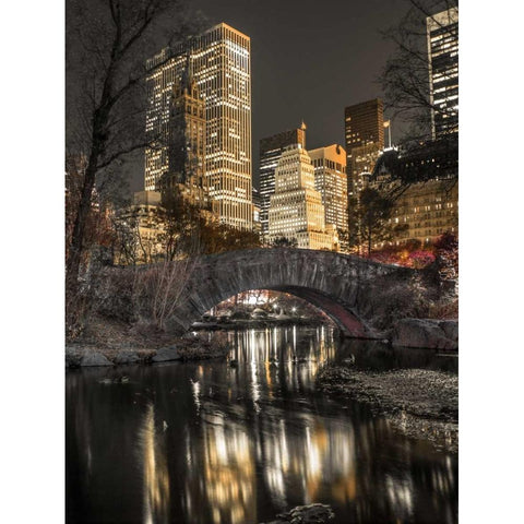 Evening view of Central Park in New York City Black Modern Wood Framed Art Print with Double Matting by Frank, Assaf